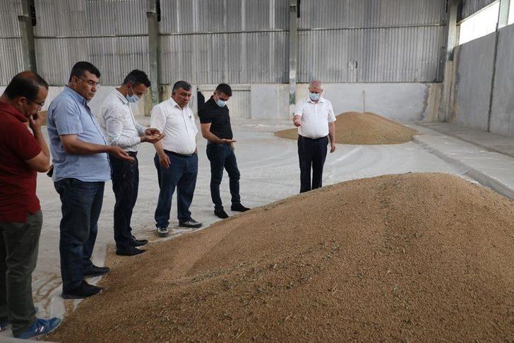 TMO’da buğday alımı G2