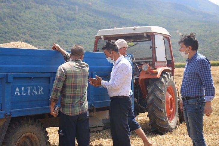 TMO’da buğday alımı G4