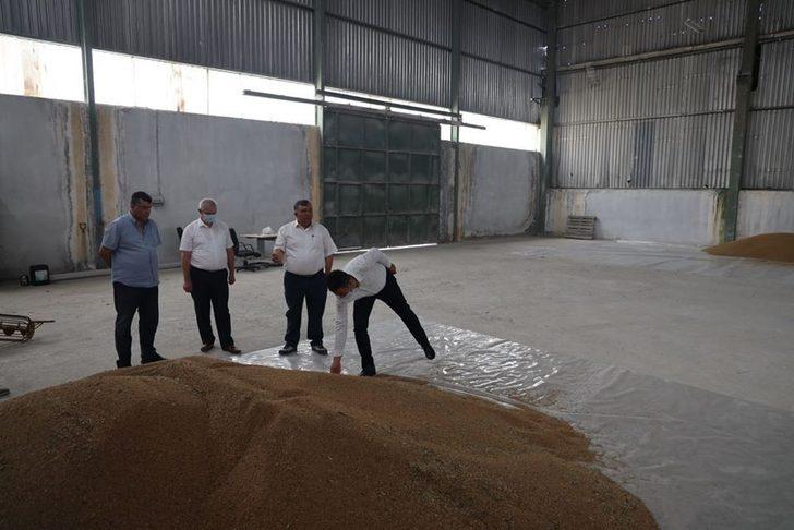 TMO’da buğday alımı G5