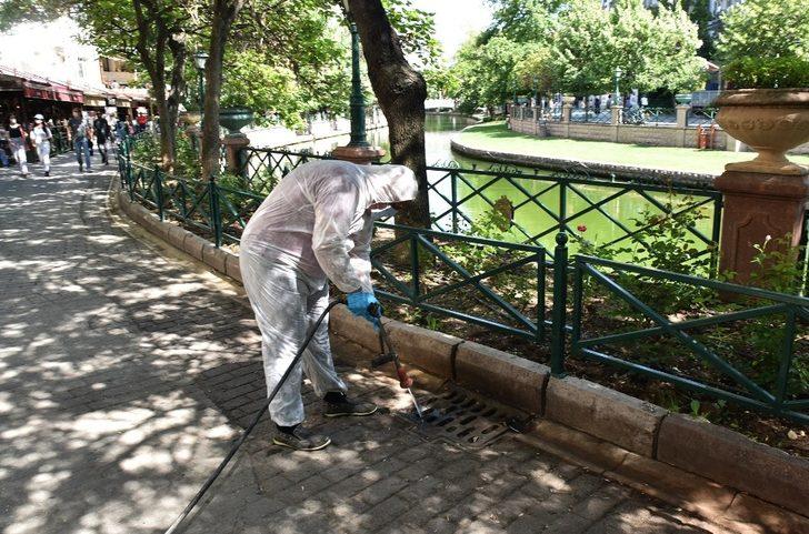 Zararlı haşereler Tepebaşı’nda ilaçlanıyor G1