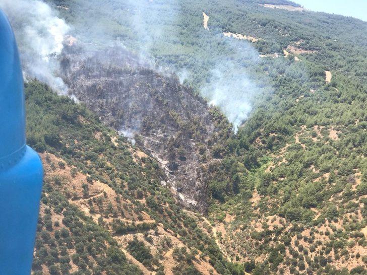 Efeler Yeniköy’de orman yangını G1