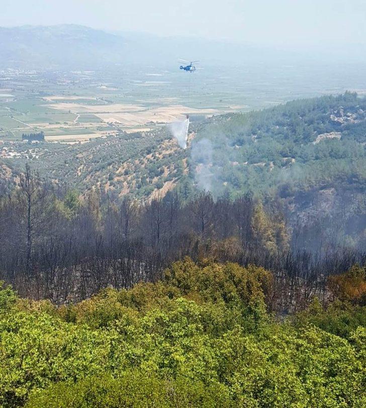 Efeler Yeniköy’de orman yangını G2