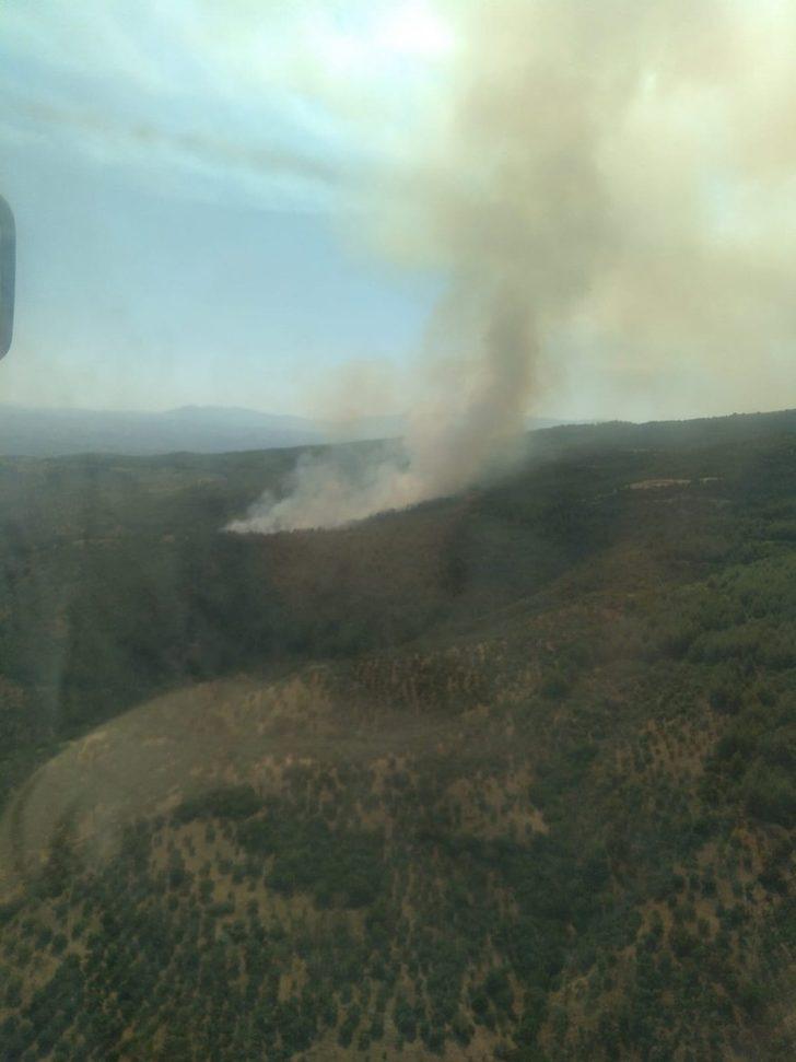 Efeler Yeniköy’de orman yangını G3