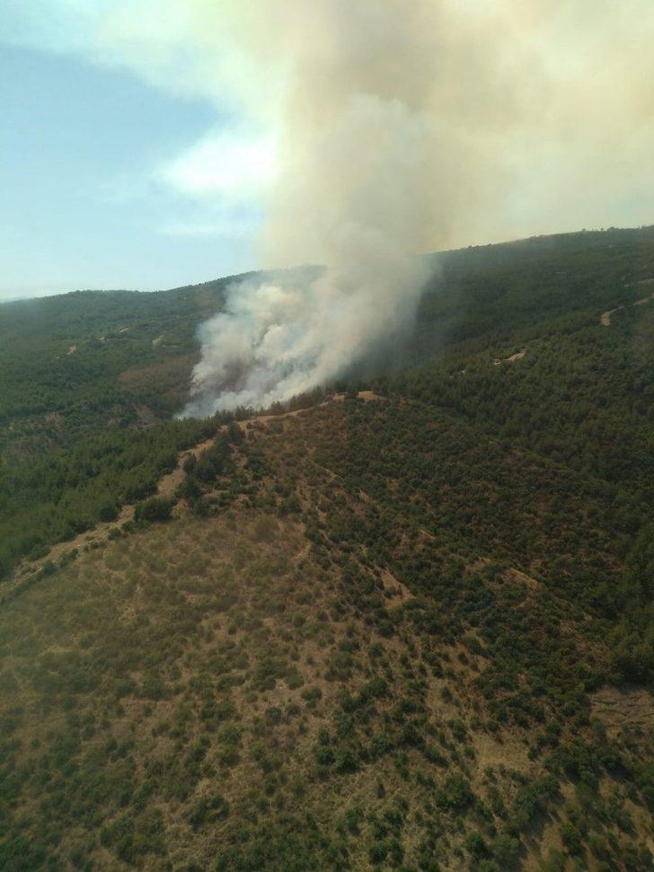 Efeler Yeniköy’de orman yangını G4