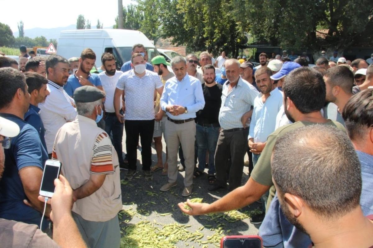 Ko&ccedil;arlı&rsquo;da bamya isyanı