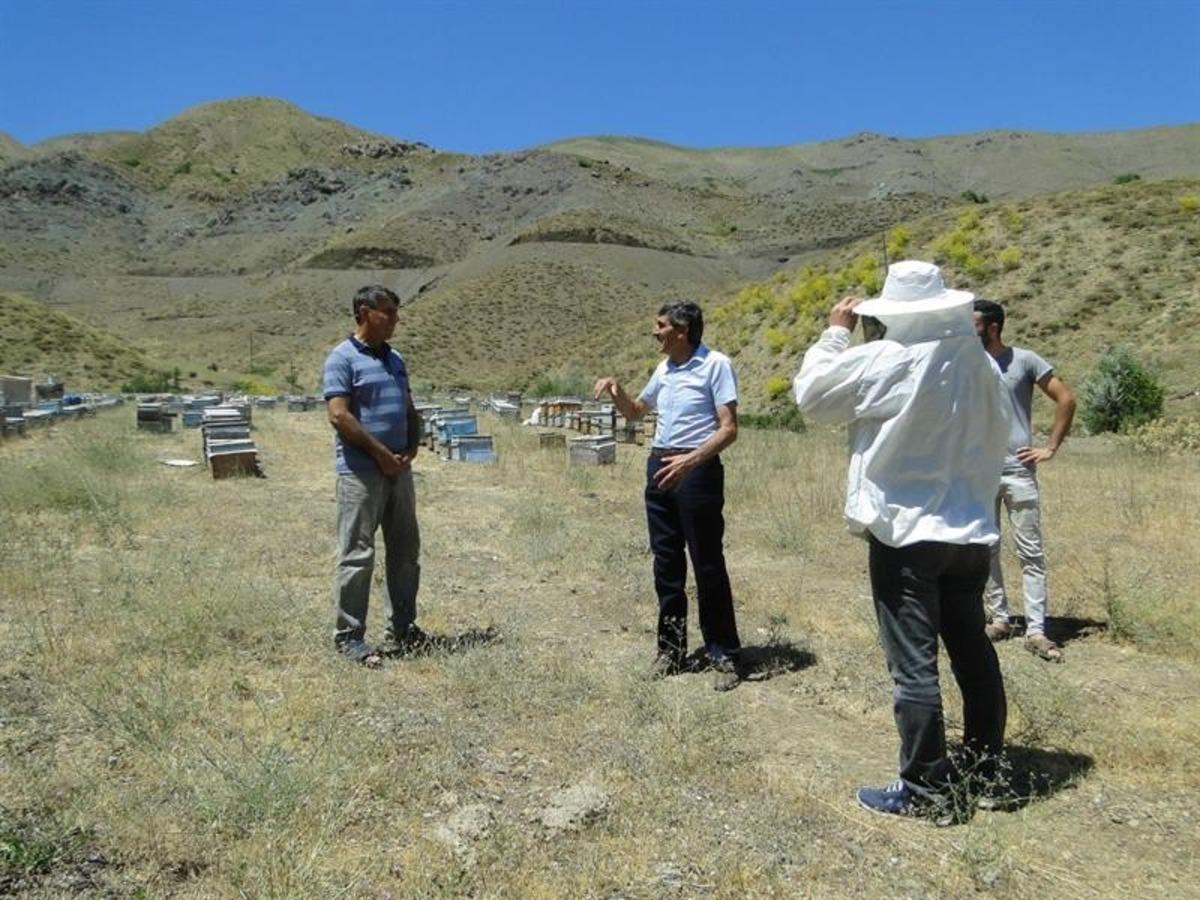 P&uuml;t&uuml;rge&rsquo;de Arıcılık gelişiyor