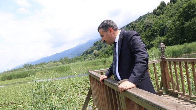 Vali Atay Efteni Gölünde incelemelerde bulundu