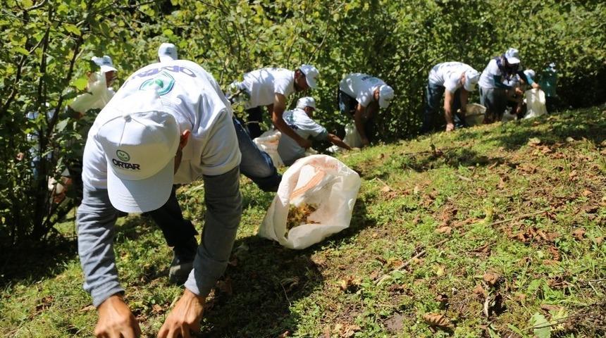 Mevsimlik fındık iş&ccedil;ilerinin &ccedil;alışma koşulları belli oldu