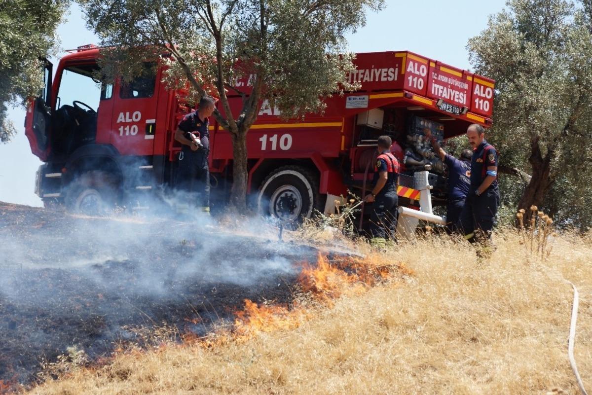 Aydın&rsquo;da 4 d&ouml;n&uuml;m zeytinlik alan yangında zarar g&ouml;rd&uuml;