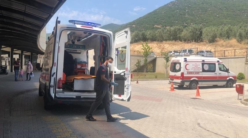 Bursa Gemlik'teki derede can pazarı