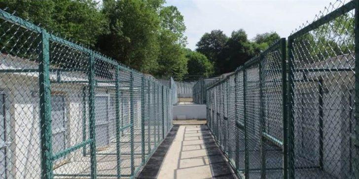 Geçici Hayvan Bakım Evi sokak hayvanlarına umut olacak G2