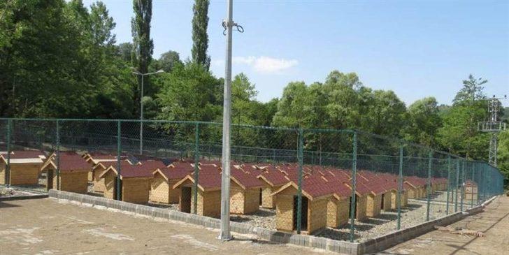 Geçici Hayvan Bakım Evi sokak hayvanlarına umut olacak G3