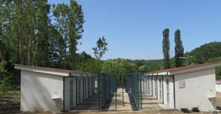 Geçici Hayvan Bakım Evi sokak hayvanlarına umut olacak G4