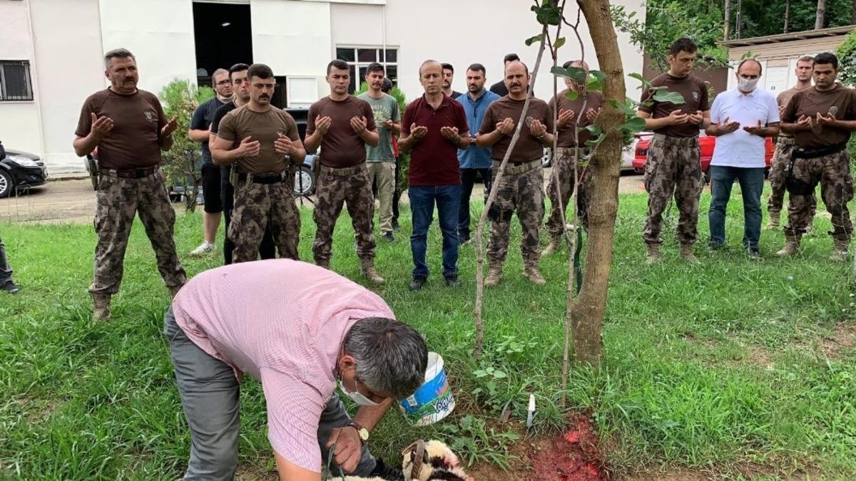 Giresun&rsquo;dan 1 P&Ouml;H Timi Van&rsquo;a g&ouml;nderildi