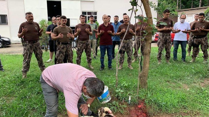 Giresun’dan 1 PÖH Timi Van’a gönderildi G1