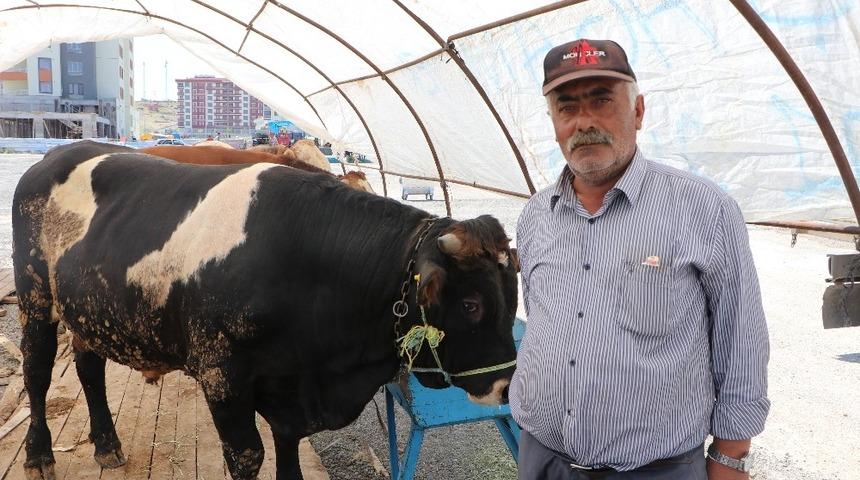 Kurban pazarlarında hareketlilik başladı