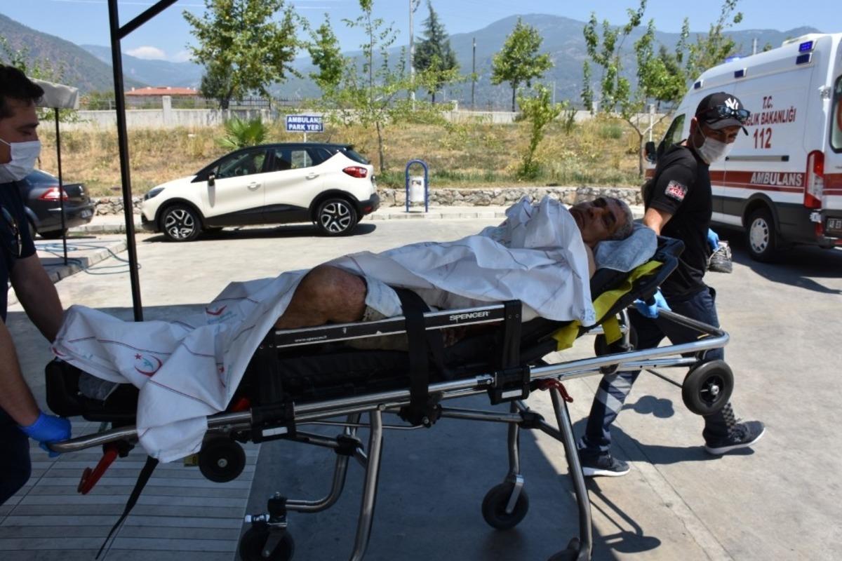 Elektrik sayacı okuyan g&ouml;revliye pitbull saldırısı iddiası