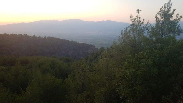 Yeniköy’deki orman yangını söndürüldü