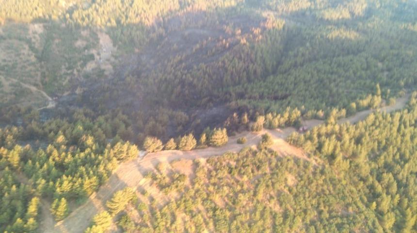 Yenik&ouml;y&rsquo;deki orman yangını s&ouml;nd&uuml;r&uuml;ld&uuml;