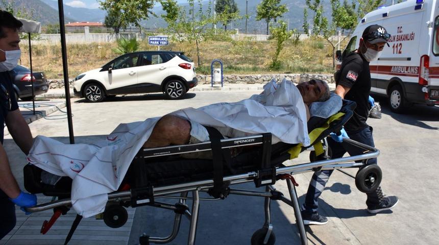 Elektrik sayacı okuyan görevli iki pitbullun saldırısına uğradı