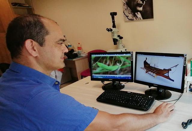 Antik bitki, 2700 yıllık  Phaselis Gemileri ne ilham kaynağı olmuş 1