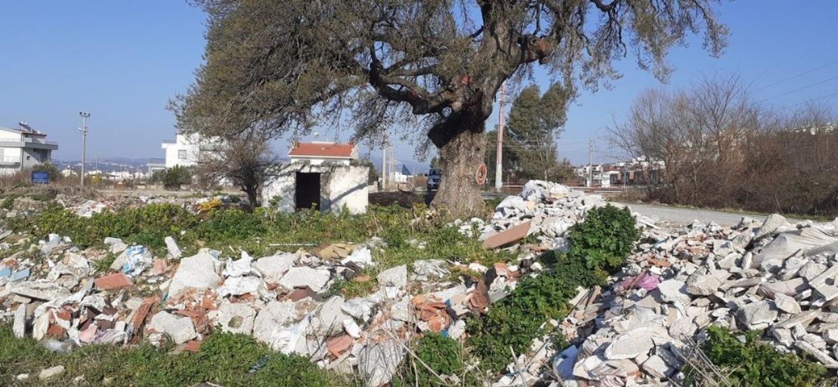 Kuşadası&rsquo;nda 300 yıllık anıt ağacın &ccedil;evresini hafriyat d&ouml;kerek, &ccedil;&ouml;pl&uuml;ğe &ccedil;evirdiler