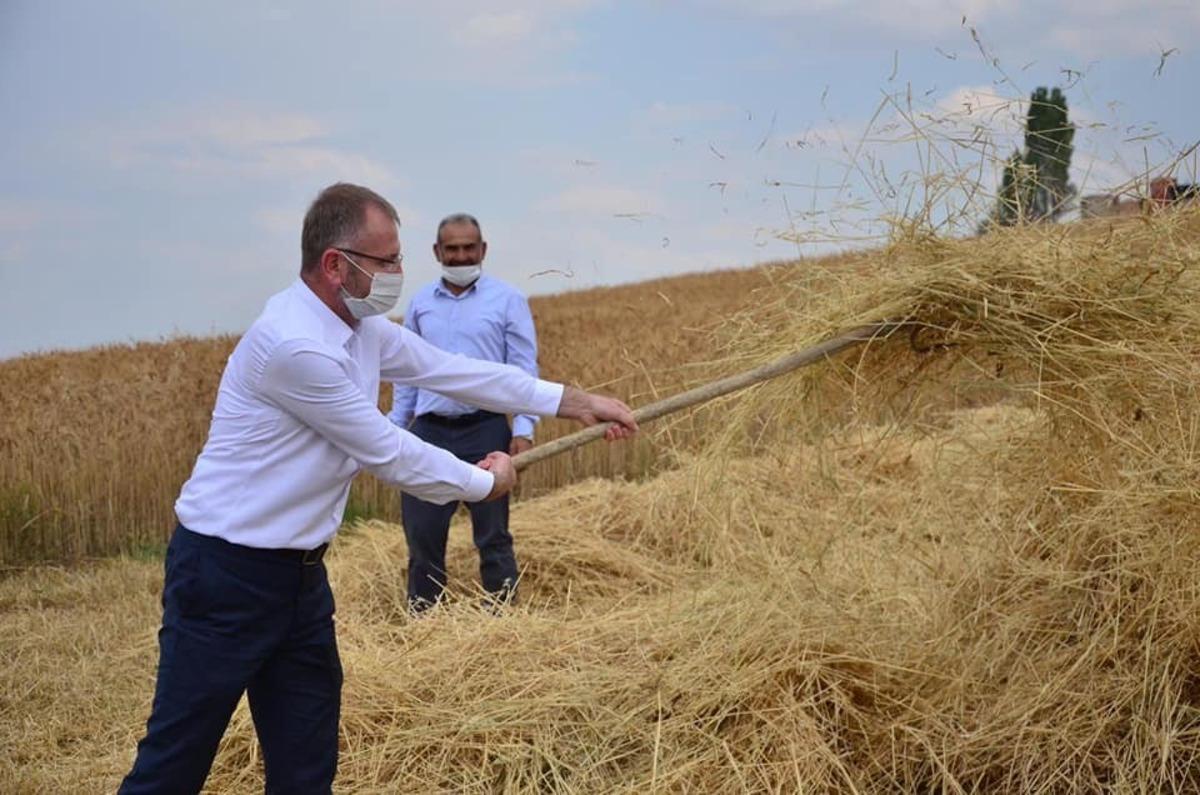 Altıntaş&rsquo;ta buğday hasadı başladı