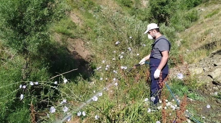 Hakkari Belediyesinden larvasit ila&ccedil;lama &ccedil;alışması