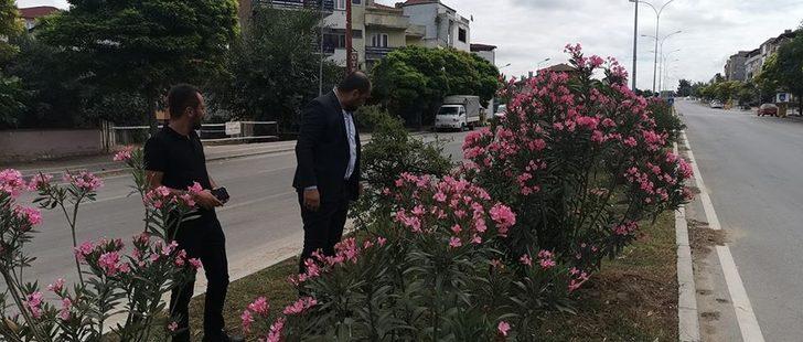 Başkan Vekili Taşgın yatırımları yerinde inceledi G2