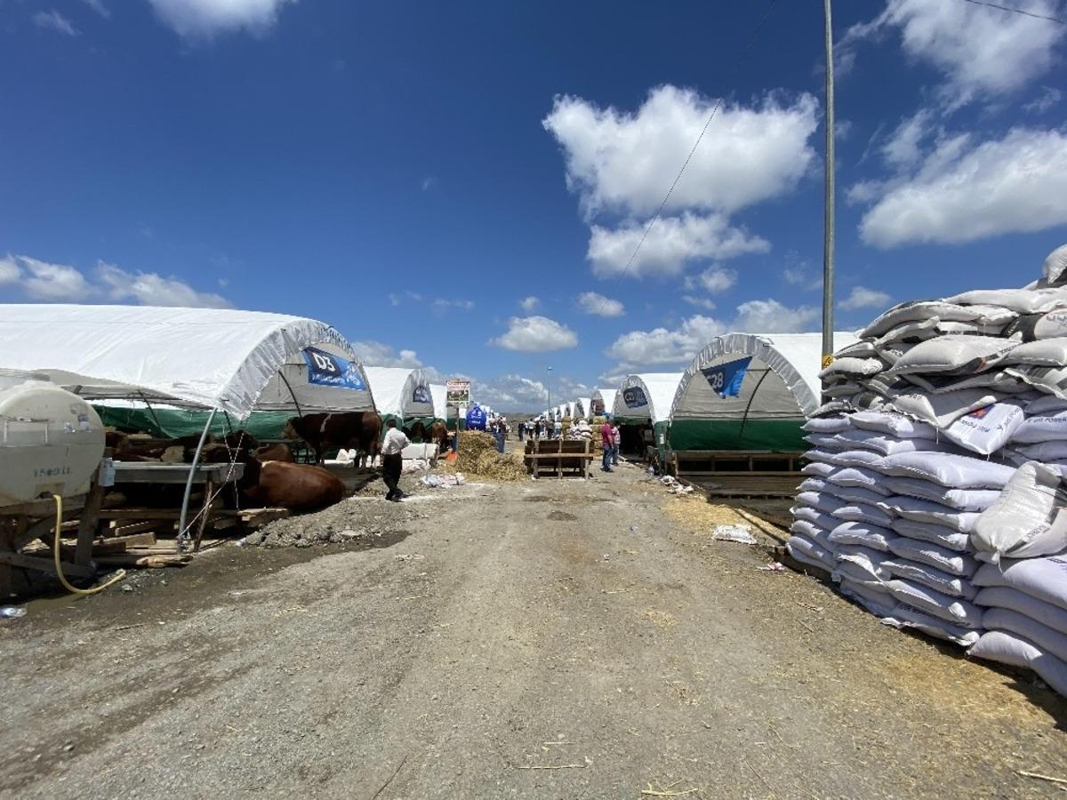 (D&uuml;zeltme) Sultangazi&rsquo;de kurban pazarı hazırlıklarında korona vir&uuml;s &ouml;nlemleri