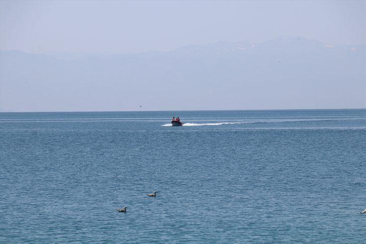 Konya'da hayvan hırsızlığı iddiasıyla iki şüpheli yakalandı G1