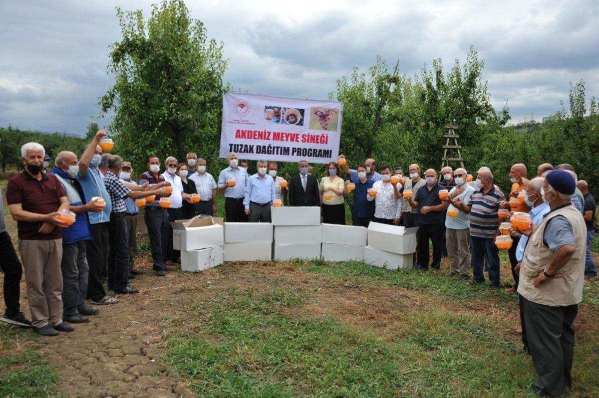 B&uuml;y&uuml;kşehir Belediyesi&rsquo;nden meyve &uuml;reticisine destek