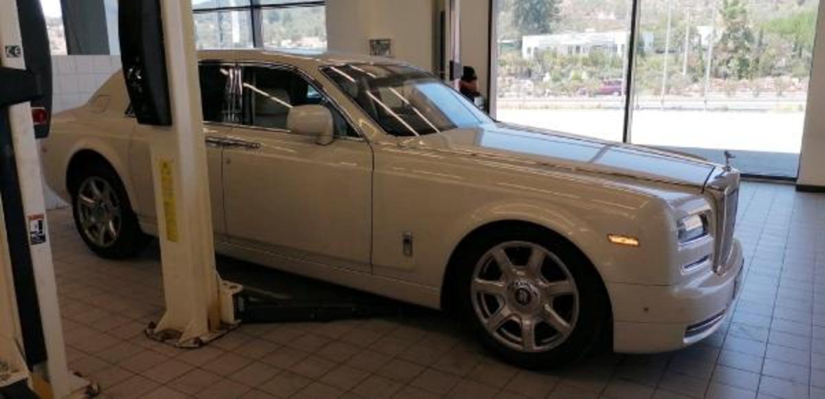 Ali Ağaoğlu'nun l&uuml;ks aracını fareler kemirdi!