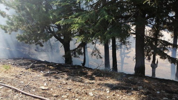 Adana'da korkutan orman yangını! Feke’de 2 dekarlık alan küle döndü