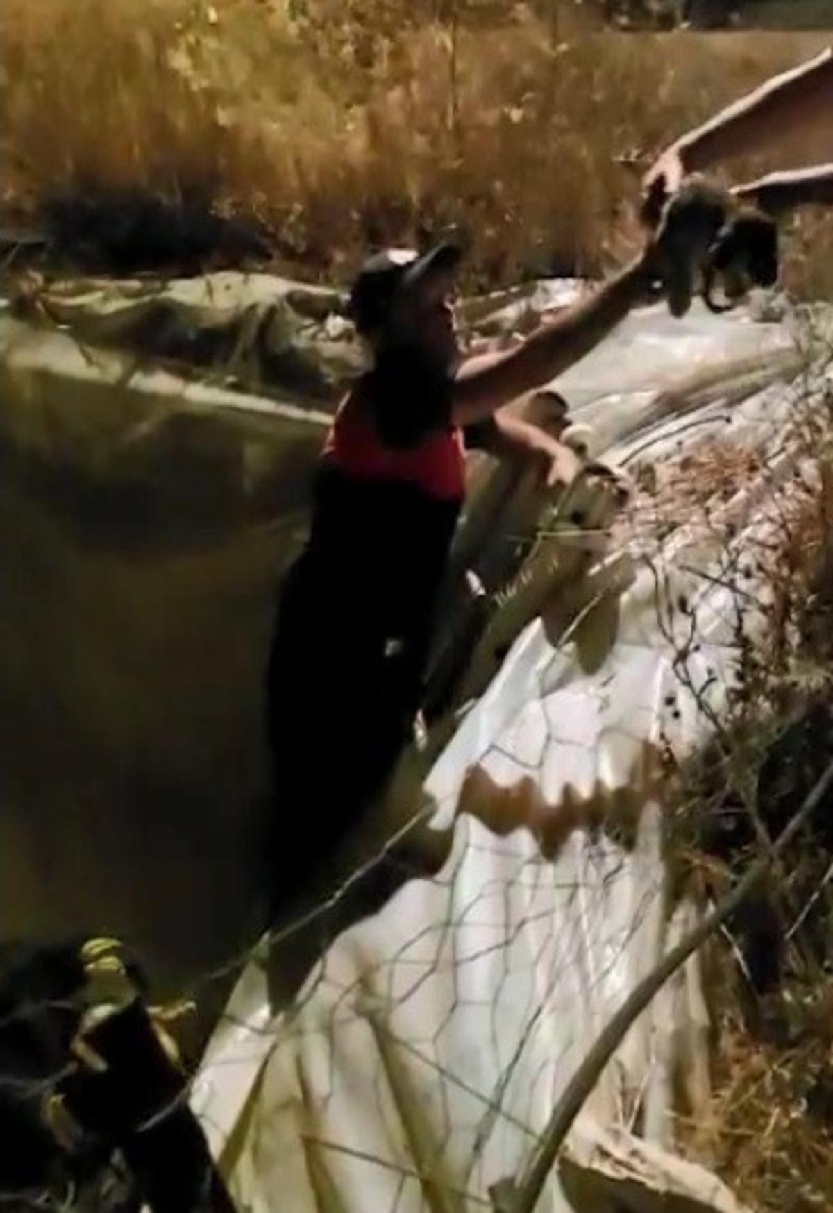 K&ouml;pek yavrularını itfaiye ekipleri kurtardı