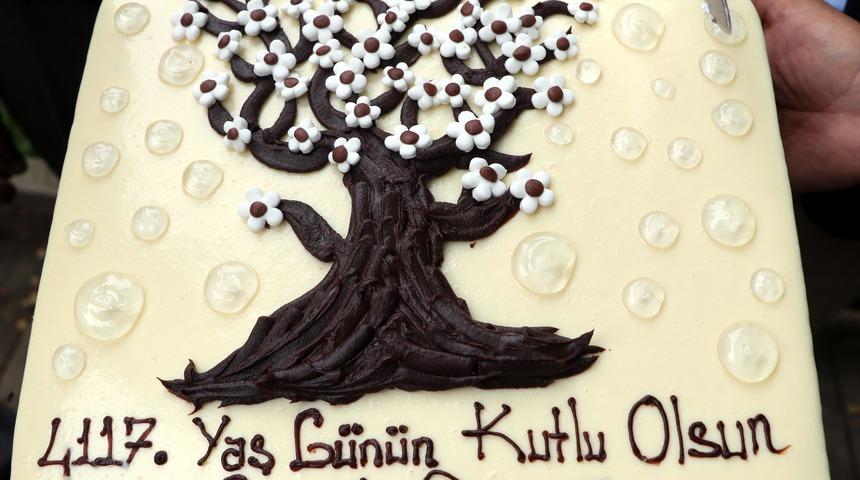 Zonguldak'ta 4117'nci yaşına giren dünyanın en yaşlı porsuk ağacının doğum günü kutlandı