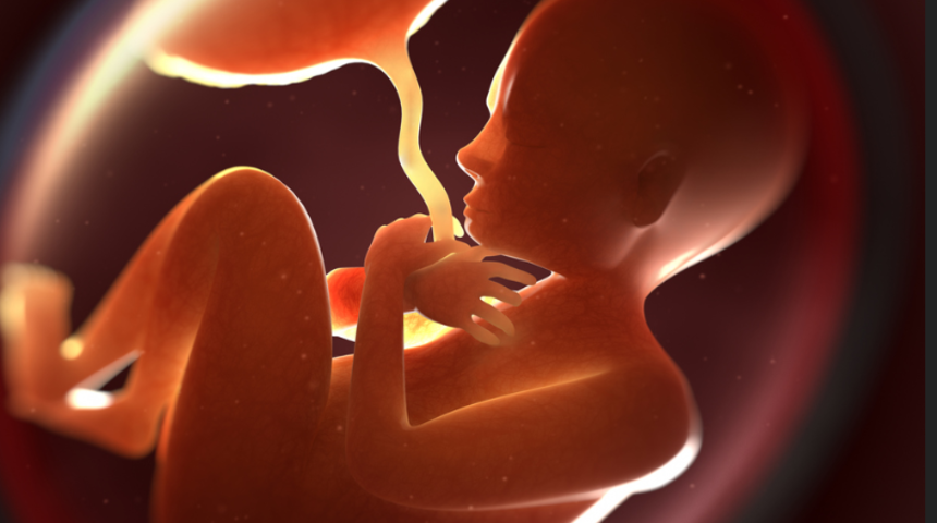 Anne karnındaki bebeğe neden kan verilir?