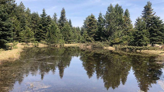 Gören hayran kaldı! Uludağ'ın zirvesinde büyüleyen manzara