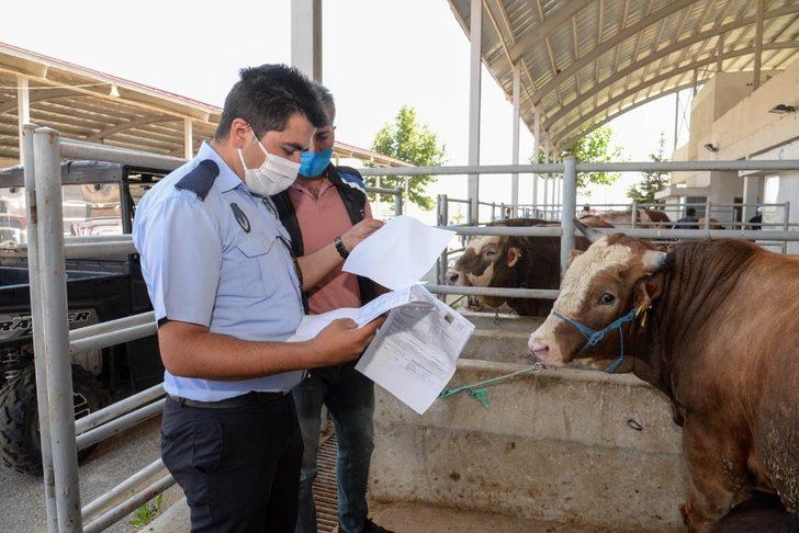 Altındağ’da kurban randevuları başladı G3