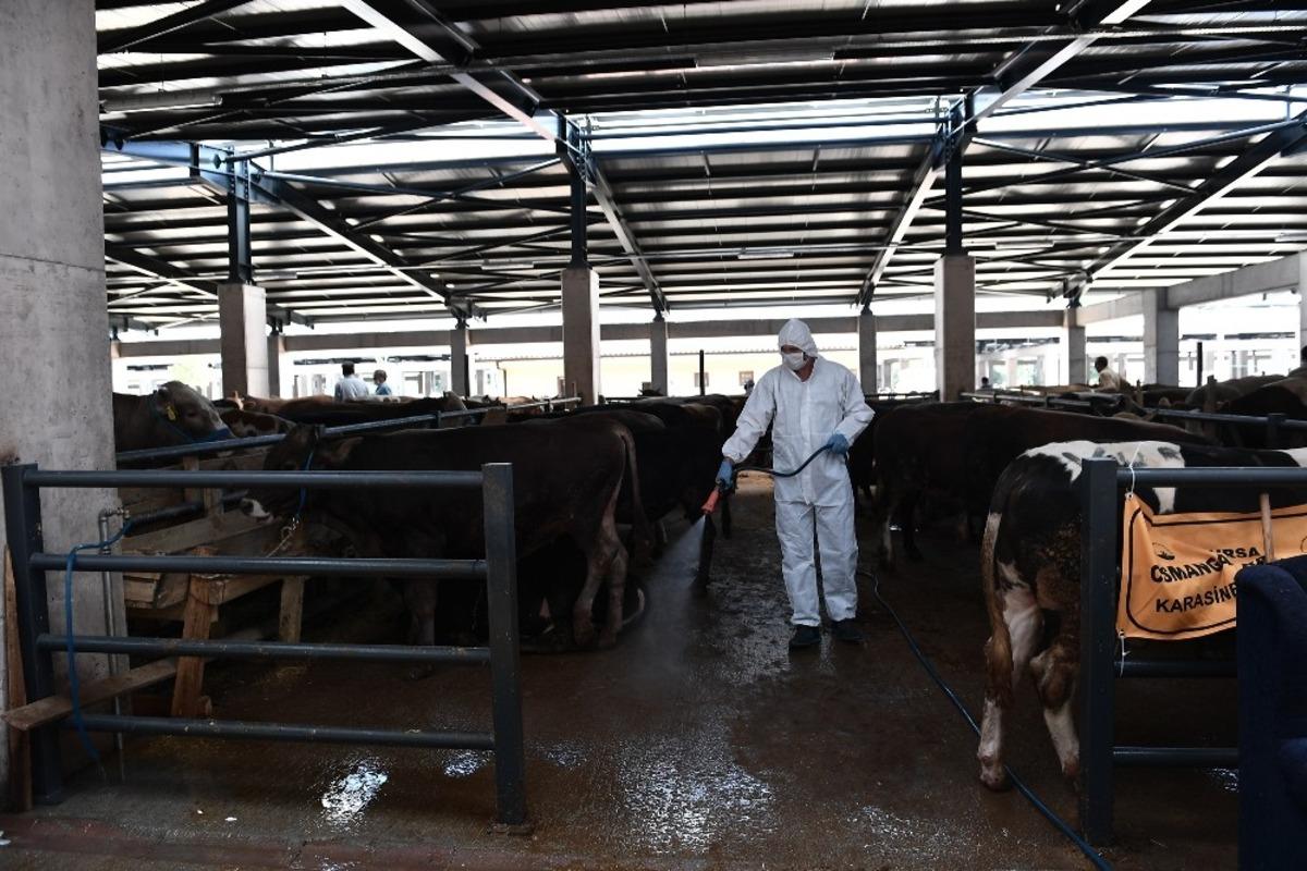 Kurban satış yerleri sinek ve mikroplara karşı ila&ccedil;landı