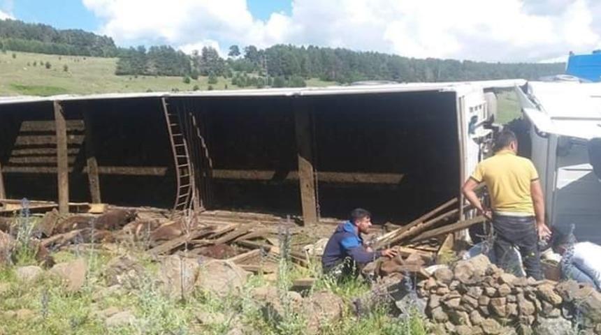 K&uuml;&ccedil;&uuml;kbaş hayvanları taşıyan tır devrildi: 32 hayvan telef oldu
