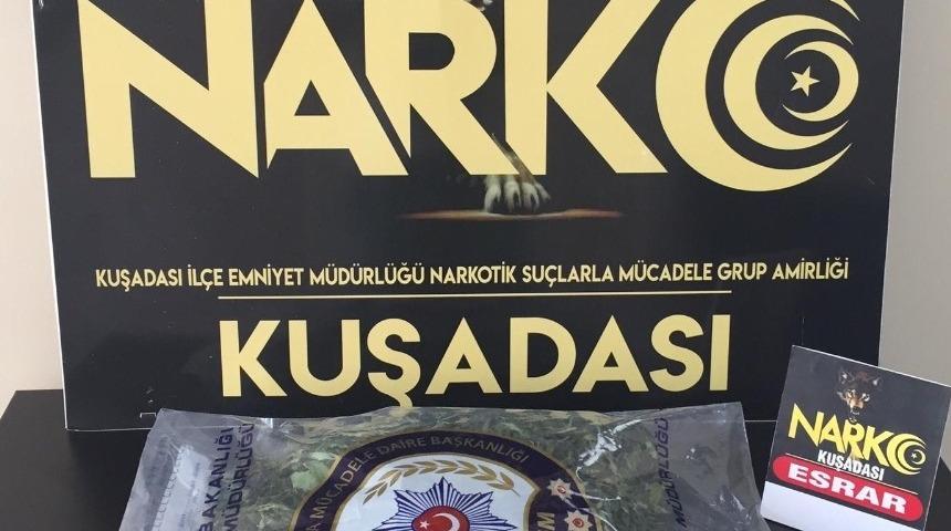 Evinin bahçesini uyuşturucu tarlasına çevirmiş