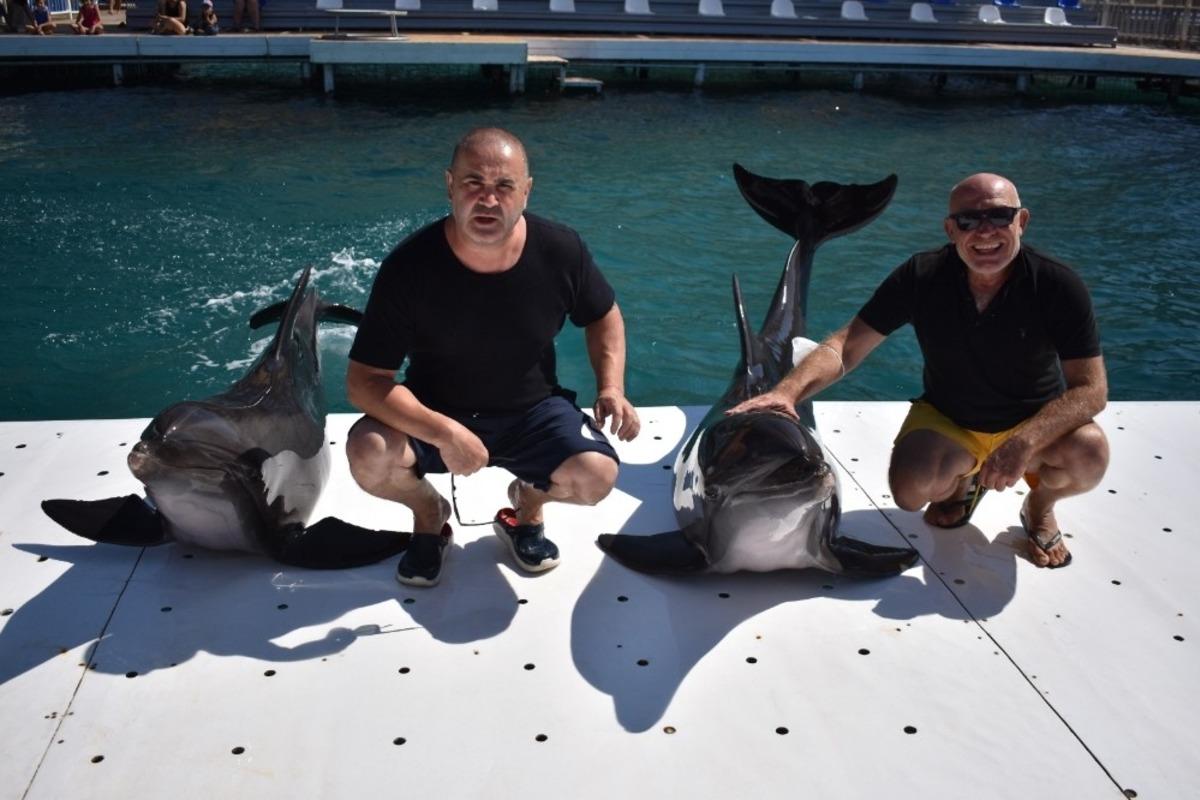 Şafak Sezer karantinanın ardından ilk kez Yunus balıklarıyla yakınlık kurdu