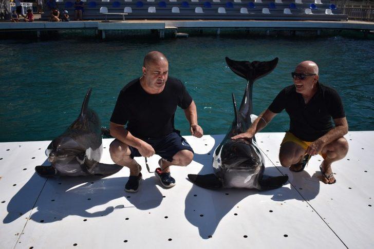 Şafak Sezer karantinanın ardından ilk kez Yunus balıklarıyla yakınlık kurdu G2