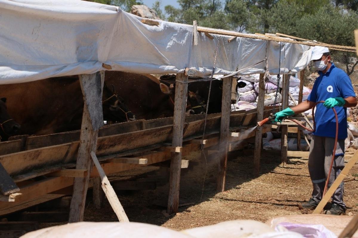 Kurban satış yerleri ila&ccedil;lanıyor