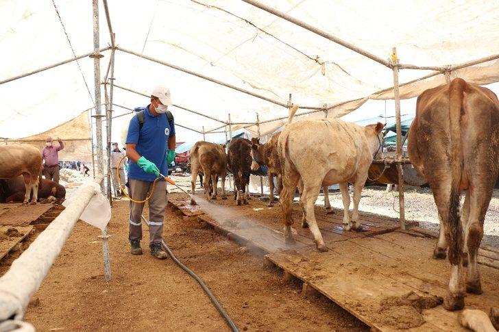 Kurban satış yerleri ilaçlanıyor G3