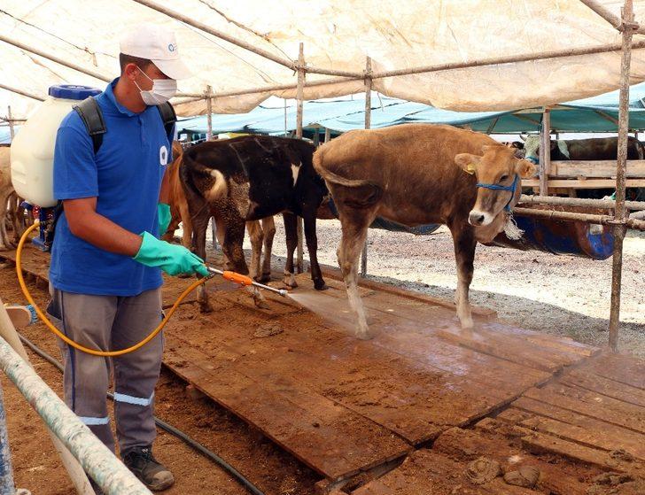 Kurban satış yerleri ilaçlanıyor G4