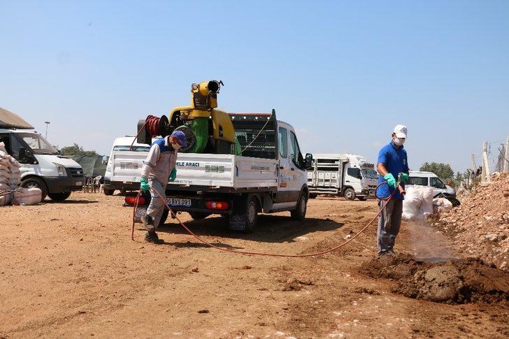 Kurban satış yerleri ilaçlanıyor G5