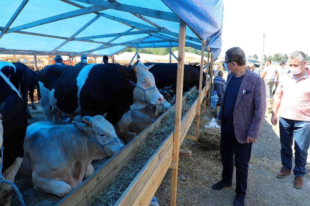 Başkan Deniz K&ouml;ken, kurban satış alanında incelemelerde bulundu