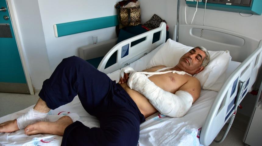 Pitbulların saldırısına uğrayan elektrik firması çalışanı: 'Sonum geldi' dedim